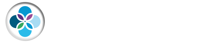 Blu Wonder DMC