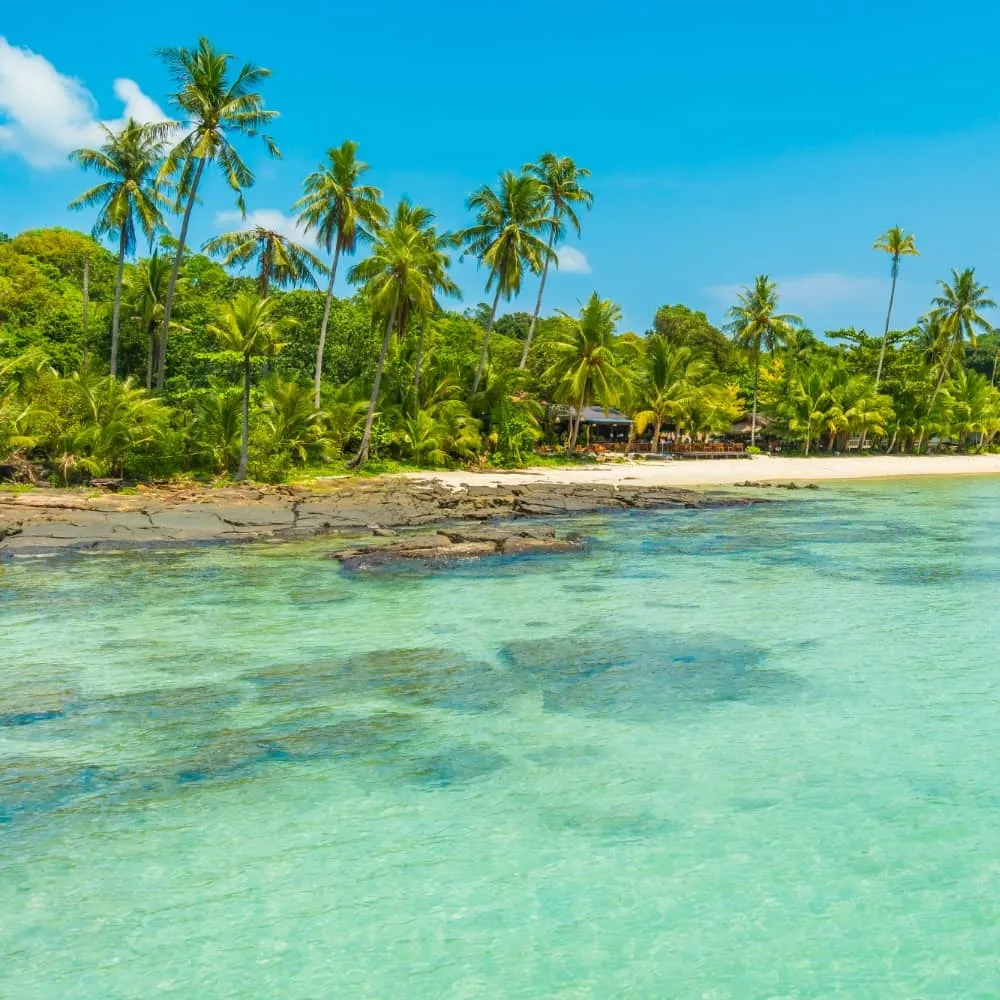 Yacht charter in Caribbean — 3