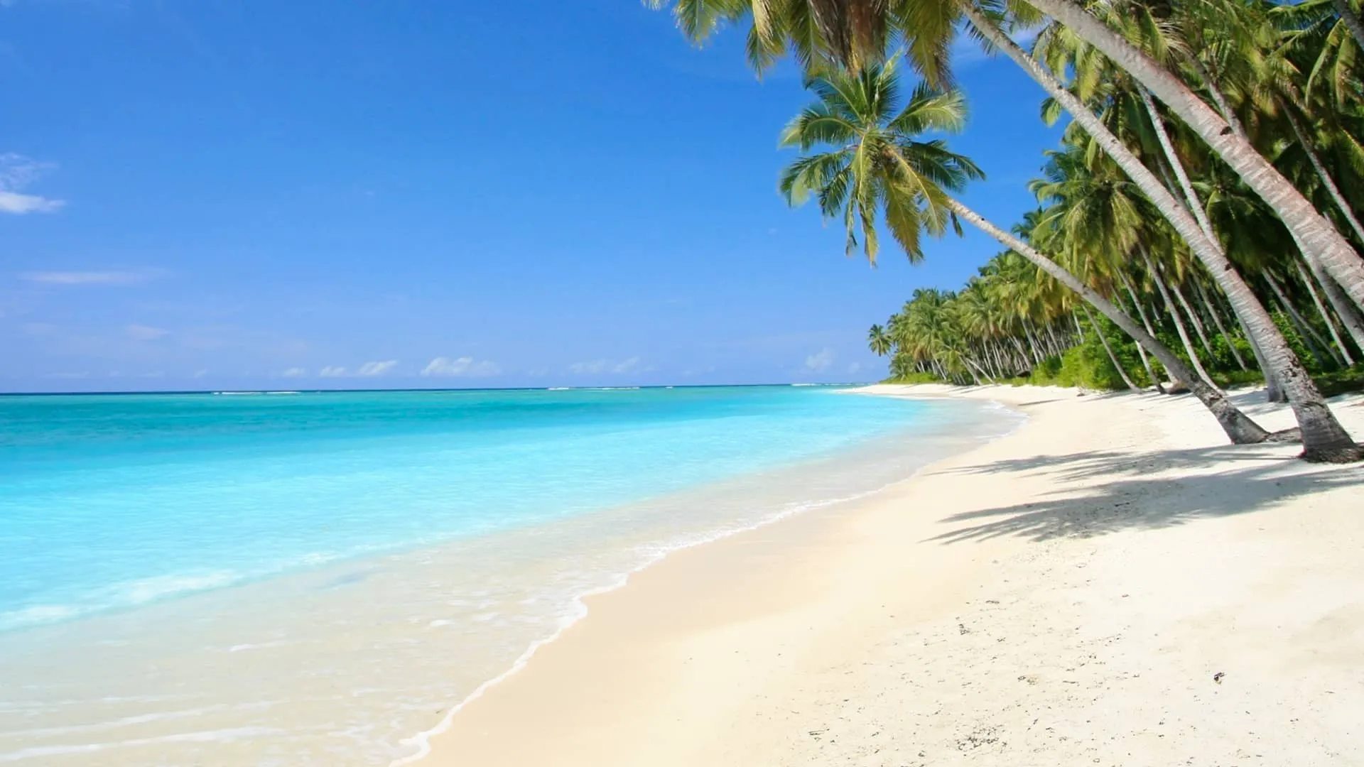 Yacht charter in Caribbean