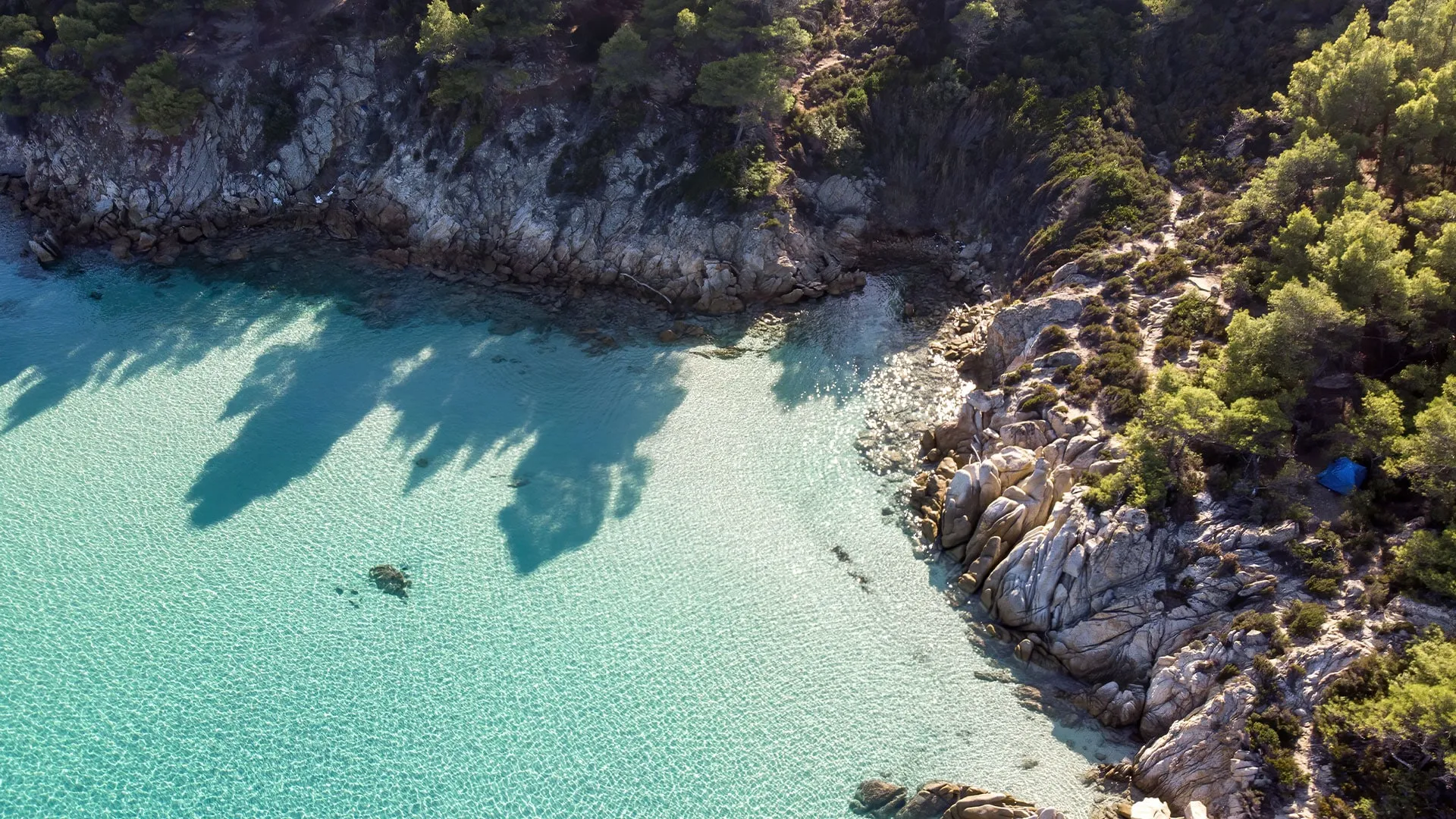 Yacht charter in Corsica